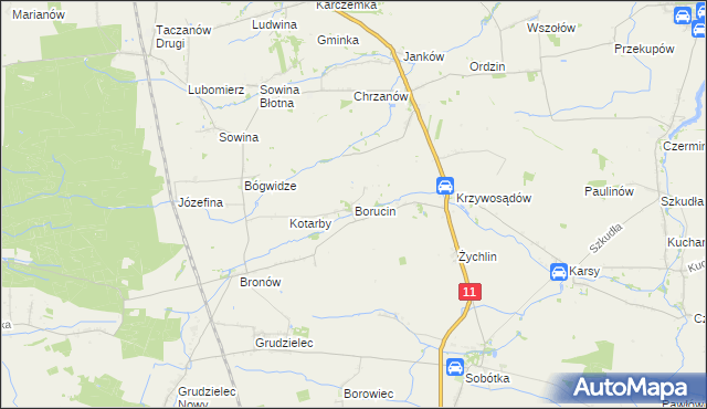 mapa Borucin gmina Pleszew, Borucin gmina Pleszew na mapie Targeo