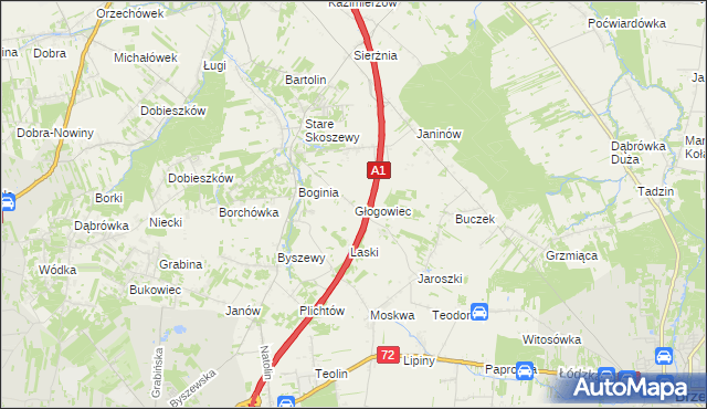 mapa Głogowiec gmina Nowosolna, Głogowiec gmina Nowosolna na mapie Targeo