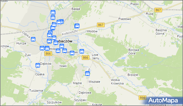 mapa Lisie Jamy gmina Lubaczów, Lisie Jamy gmina Lubaczów na mapie Targeo