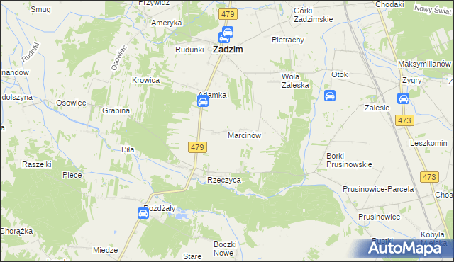 mapa Marcinów gmina Zadzim, Marcinów gmina Zadzim na mapie Targeo