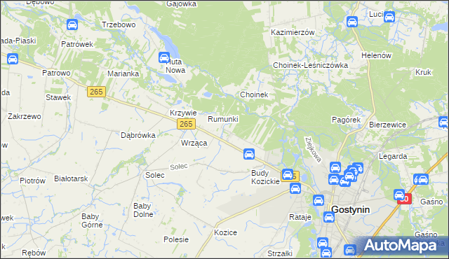 mapa Nagodów gmina Gostynin, Nagodów gmina Gostynin na mapie Targeo