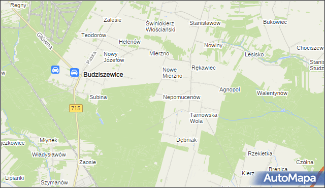 mapa Nepomucenów gmina Budziszewice, Nepomucenów gmina Budziszewice na mapie Targeo