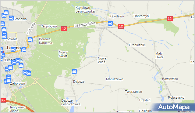 mapa Nowa Wieś gmina Rydzyna, Nowa Wieś gmina Rydzyna na mapie Targeo