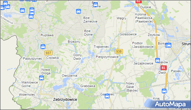mapa Pielgrzymowice gmina Pawłowice, Pielgrzymowice gmina Pawłowice na mapie Targeo