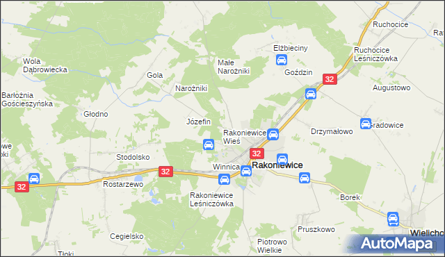 mapa Rakoniewice Wieś, Rakoniewice Wieś na mapie Targeo