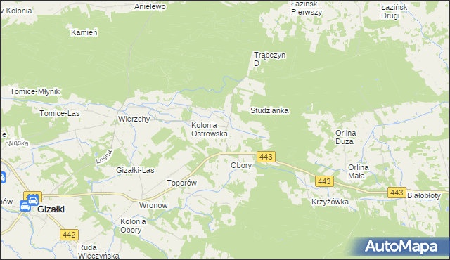 mapa Świerczyna gmina Gizałki, Świerczyna gmina Gizałki na mapie Targeo