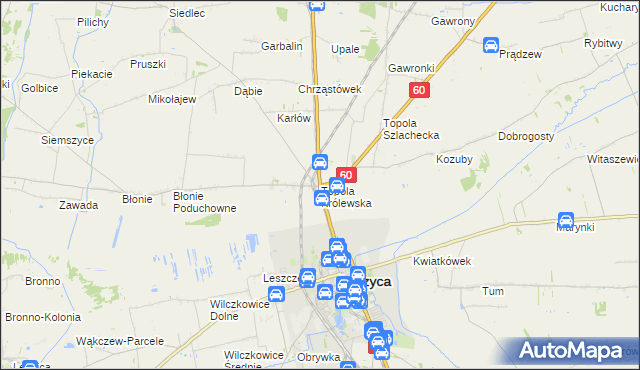 mapa Topola Królewska, Topola Królewska na mapie Targeo