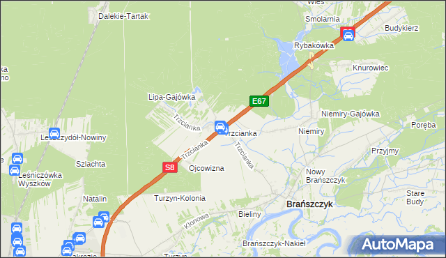 mapa Trzcianka gmina Brańszczyk, Trzcianka gmina Brańszczyk na mapie Targeo