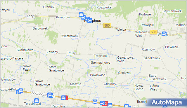 mapa Trzciniec gmina Leszno, Trzciniec gmina Leszno na mapie Targeo