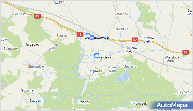 mapa Wielołęka gmina Domaszowice, Wielołęka gmina Domaszowice na mapie Targeo