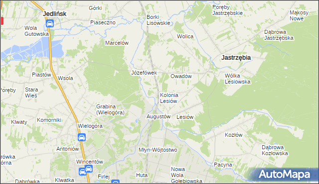 mapa Kolonia Lesiów, Kolonia Lesiów na mapie Targeo