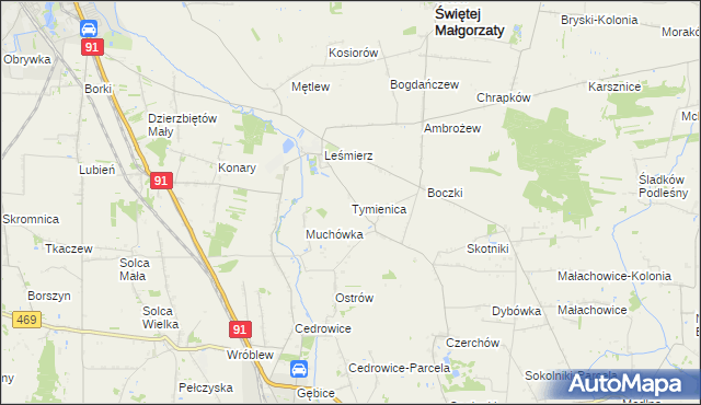 mapa Tymienica, Tymienica na mapie Targeo