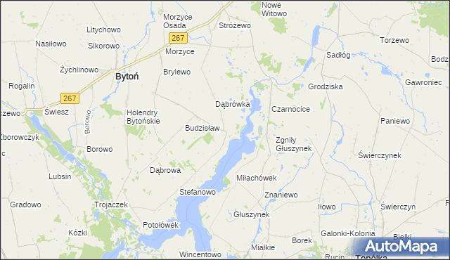 mapa Głuszyn gmina Bytoń, Głuszyn gmina Bytoń na mapie Targeo