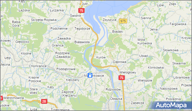 mapa Kurów gmina Chełmiec, Kurów gmina Chełmiec na mapie Targeo