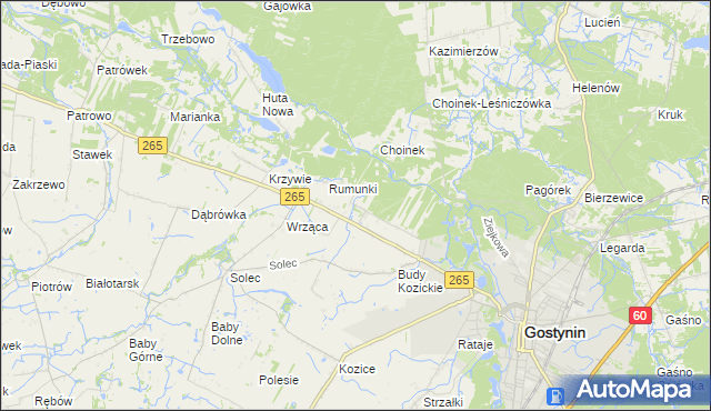 mapa Nagodów gmina Gostynin, Nagodów gmina Gostynin na mapie Targeo