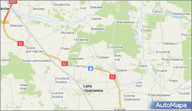 mapa Trzebień gmina Łęka Opatowska, Trzebień gmina Łęka Opatowska na mapie Targeo