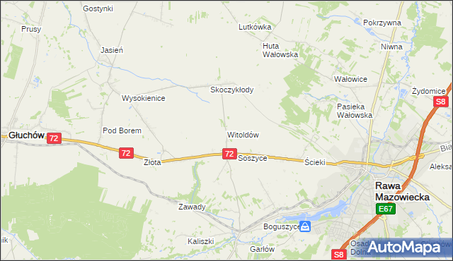 mapa Witoldów gmina Głuchów, Witoldów gmina Głuchów na mapie Targeo