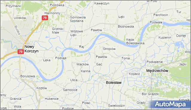 mapa Pawłów gmina Bolesław, Pawłów gmina Bolesław na mapie Targeo