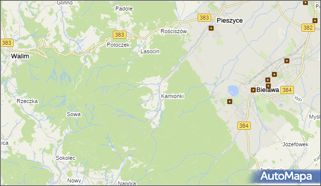 mapa Kamionki gmina Pieszyce, Kamionki gmina Pieszyce na mapie Targeo