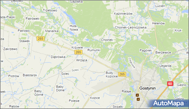 mapa Nagodów gmina Gostynin, Nagodów gmina Gostynin na mapie Targeo