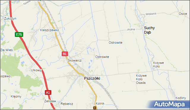 mapa Ostrowite gmina Pszczółki, Ostrowite gmina Pszczółki na mapie Targeo