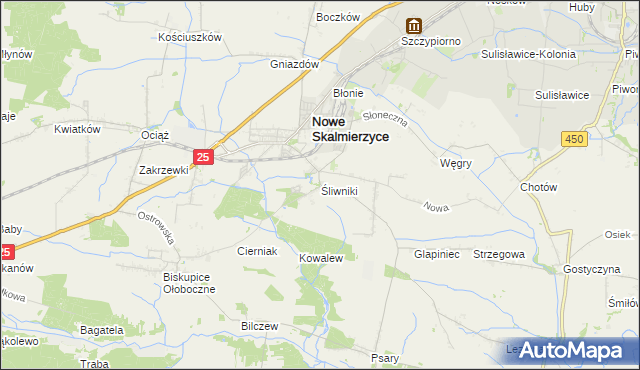 mapa Śliwniki gmina Nowe Skalmierzyce, Śliwniki gmina Nowe Skalmierzyce na mapie Targeo