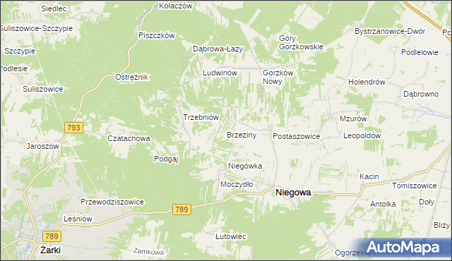 mapa Brzeziny gmina Niegowa, Brzeziny gmina Niegowa na mapie Targeo