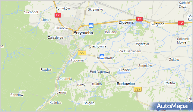 mapa Ruszkowice gmina Borkowice, Ruszkowice gmina Borkowice na mapie Targeo