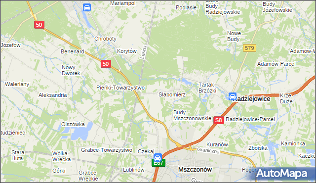 mapa Słabomierz gmina Radziejowice, Słabomierz gmina Radziejowice na mapie Targeo