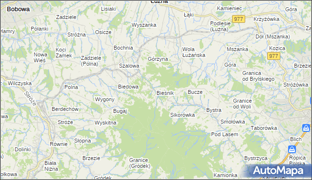 mapa Bieśnik gmina Łużna, Bieśnik gmina Łużna na mapie Targeo