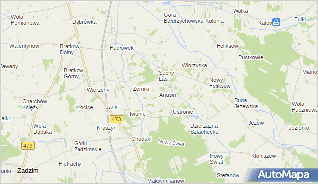 mapa Anusin gmina Zadzim, Anusin gmina Zadzim na mapie Targeo