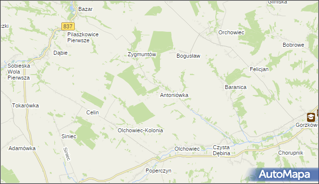 mapa Antoniówka gmina Gorzków, Antoniówka gmina Gorzków na mapie Targeo