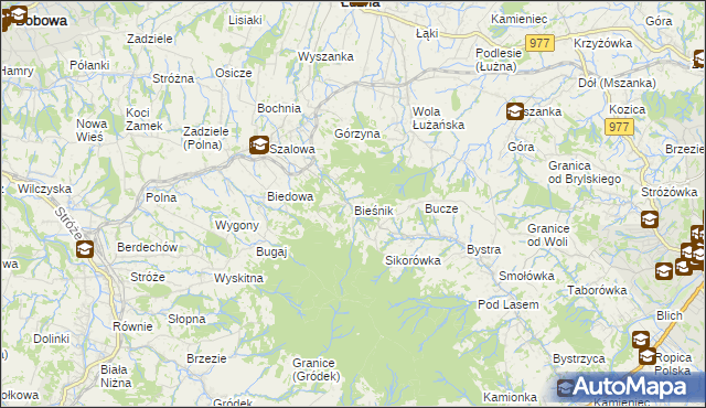 mapa Bieśnik gmina Łużna, Bieśnik gmina Łużna na mapie Targeo