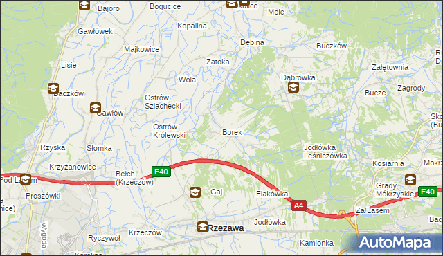 mapa Borek gmina Rzezawa, Borek gmina Rzezawa na mapie Targeo