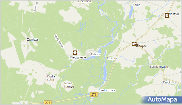 mapa Cibórz gmina Skąpe, Cibórz gmina Skąpe na mapie Targeo