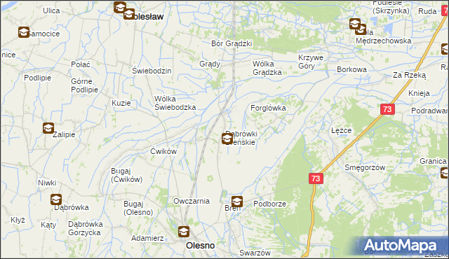 mapa Dąbrówki Breńskie, Dąbrówki Breńskie na mapie Targeo