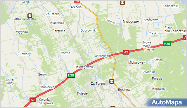 mapa Dzierzgów gmina Nieborów, Dzierzgów gmina Nieborów na mapie Targeo