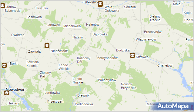 mapa Ferdynandów gmina Adamów, Ferdynandów gmina Adamów na mapie Targeo