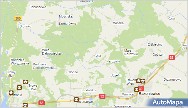 mapa Gola gmina Rakoniewice, Gola gmina Rakoniewice na mapie Targeo