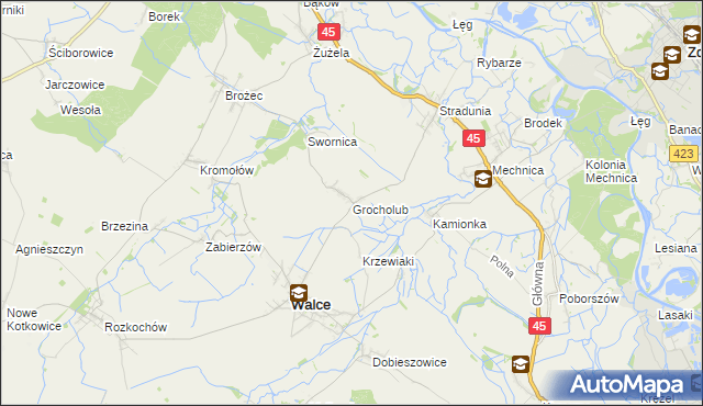 mapa Grocholub, Grocholub na mapie Targeo