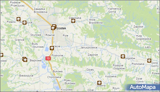 mapa Januszkowice gmina Brzostek, Januszkowice gmina Brzostek na mapie Targeo