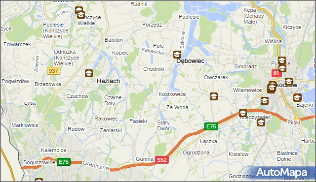 mapa Kostkowice gmina Dębowiec, Kostkowice gmina Dębowiec na mapie Targeo
