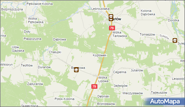 mapa Kozłówek gmina Tarłów, Kozłówek gmina Tarłów na mapie Targeo