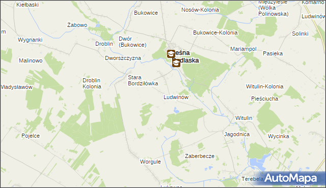 mapa Ludwinów gmina Leśna Podlaska, Ludwinów gmina Leśna Podlaska na mapie Targeo