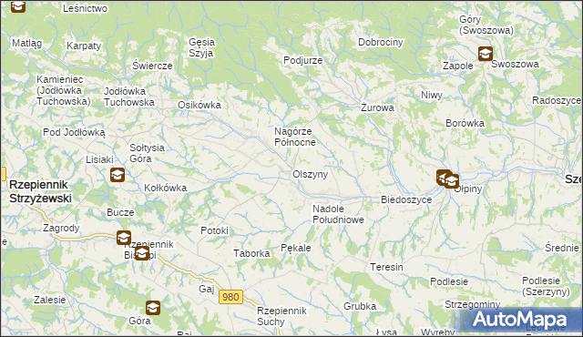 mapa Olszyny gmina Rzepiennik Strzyżewski, Olszyny gmina Rzepiennik Strzyżewski na mapie Targeo
