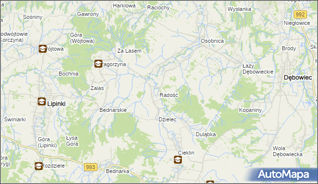mapa Radość gmina Dębowiec, Radość gmina Dębowiec na mapie Targeo