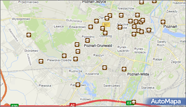 mapa Raszyn gmina Poznań, Raszyn gmina Poznań na mapie Targeo