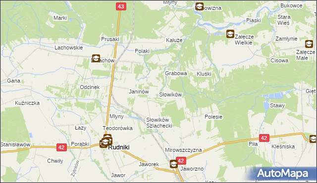 mapa Słowików gmina Rudniki, Słowików gmina Rudniki na mapie Targeo