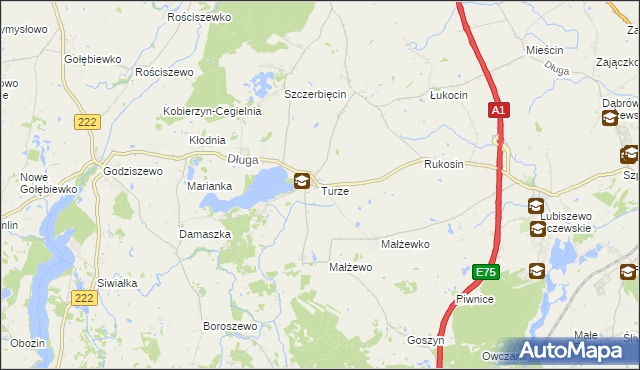 mapa Turze gmina Tczew, Turze gmina Tczew na mapie Targeo