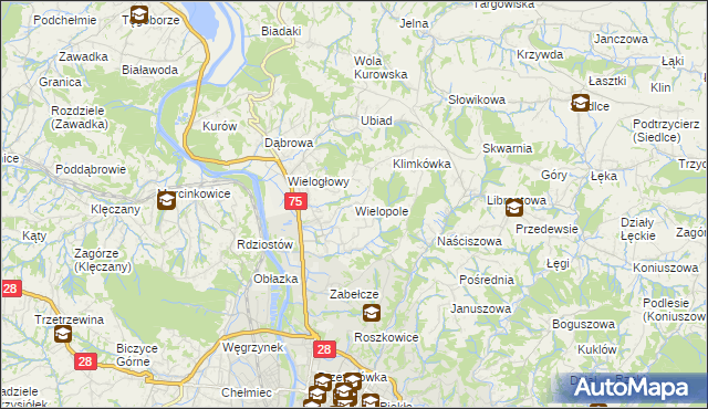mapa Wielopole gmina Chełmiec, Wielopole gmina Chełmiec na mapie Targeo